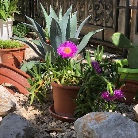 My Magic Place Opuzen, Lavender *